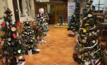 Christmas Tree festival
